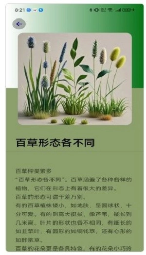 百草大师通用版图1
