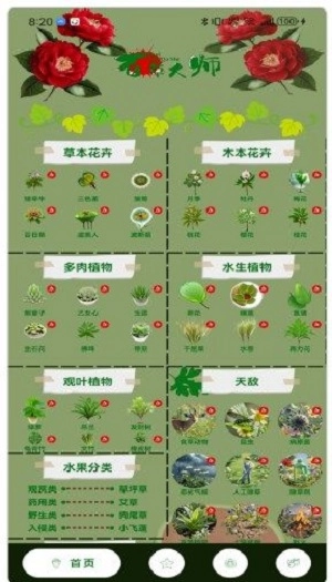 百草大师通用版图2