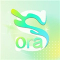 Sora视界最新免费版