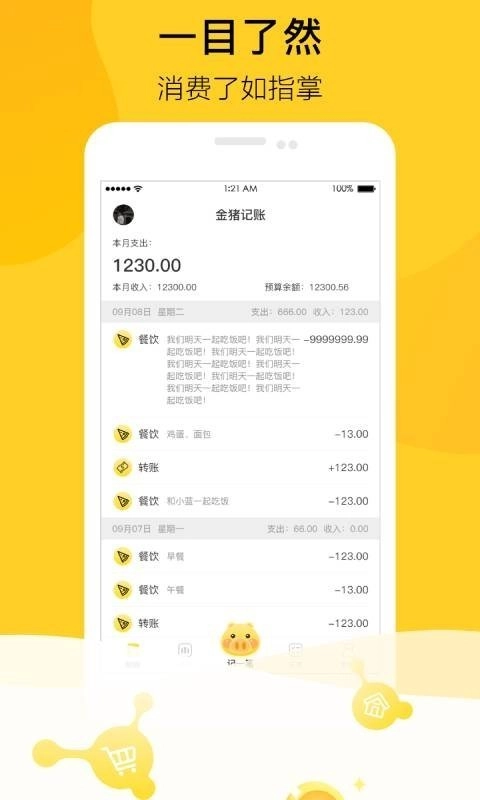 金猪记账安卓官方版图3