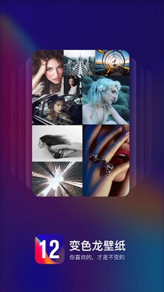 变色龙壁纸无广告版