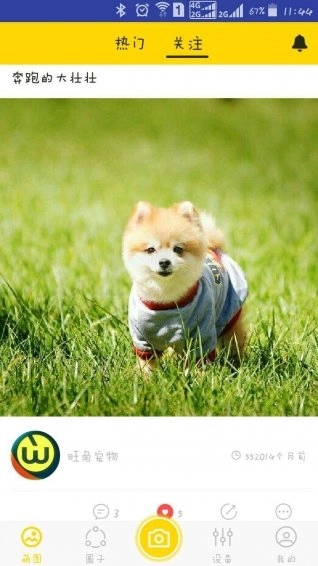 旺角宠物手机免费版图3
