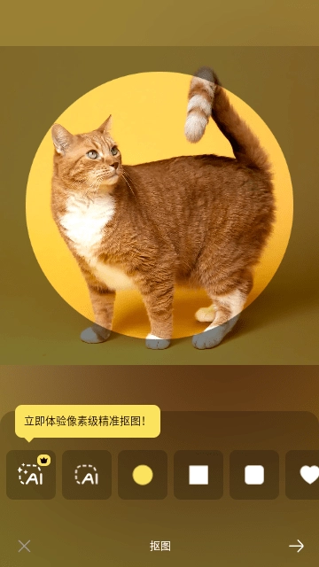 DoFoto免费版