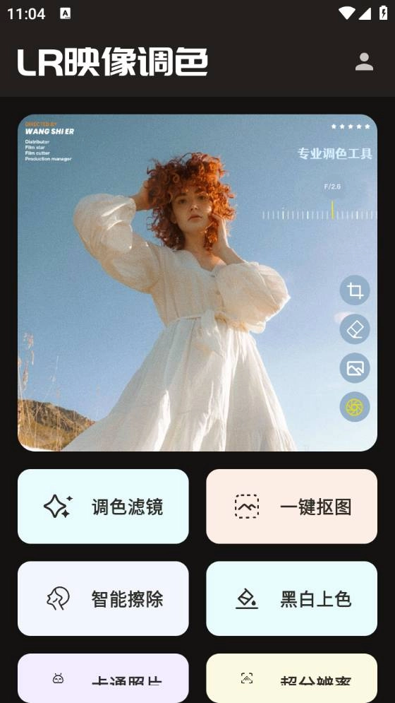 lr图片映像调色最新版图2