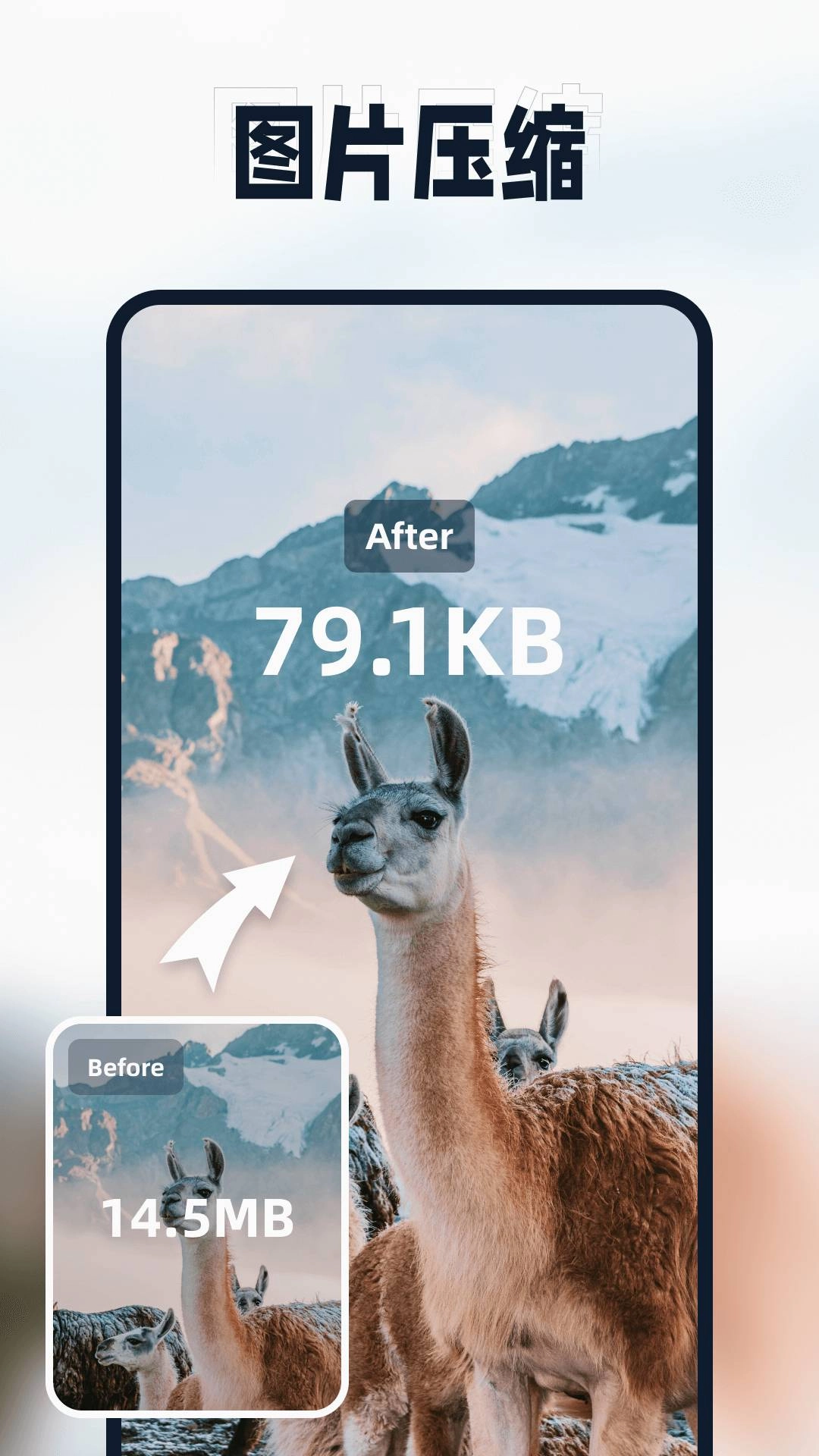 迅捷压缩通用版图2