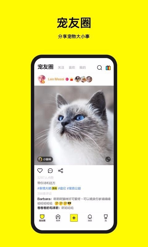 宠音原版图4