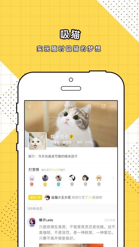 斗萌无广告版图2