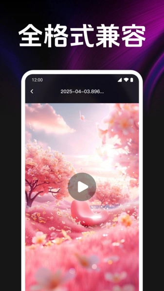私密影院播放器直装版图1