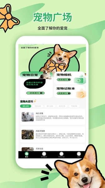 猫狗翻译器官方版(3)