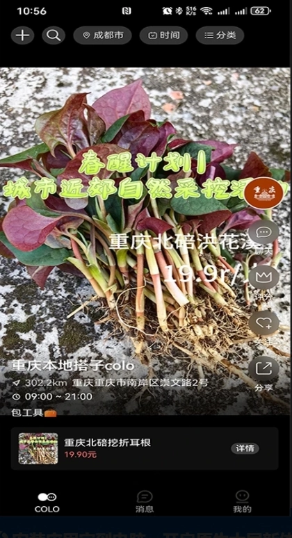 搭子Colo手机正版图2