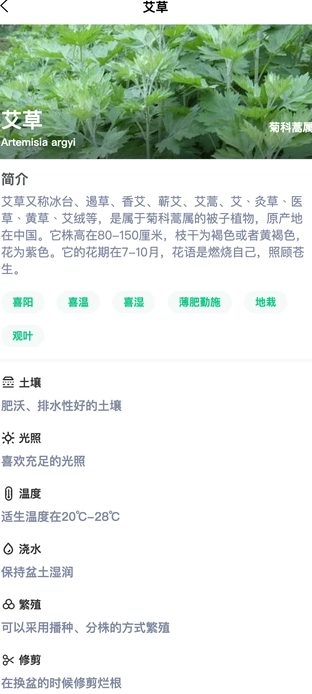 风铭植物安卓直装版图1