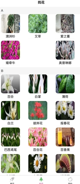 风铭植物安卓直装版图2