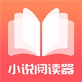 小疙瘩小说直装版
