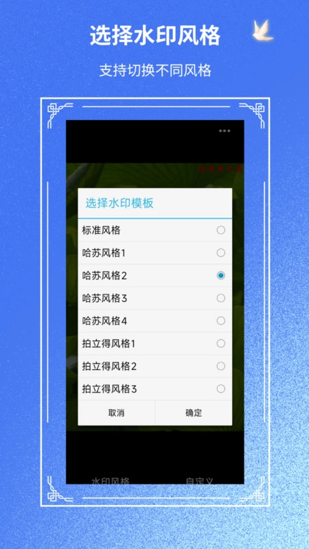 摄影师之眼原版