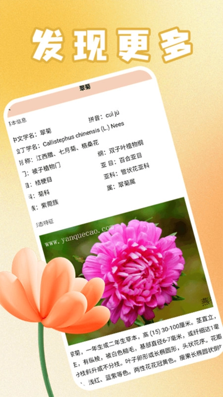 花满人间花语通用版图1