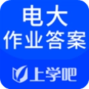 电大作业答案原版