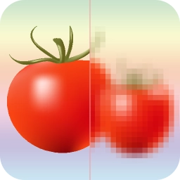 马赛克打码官方版