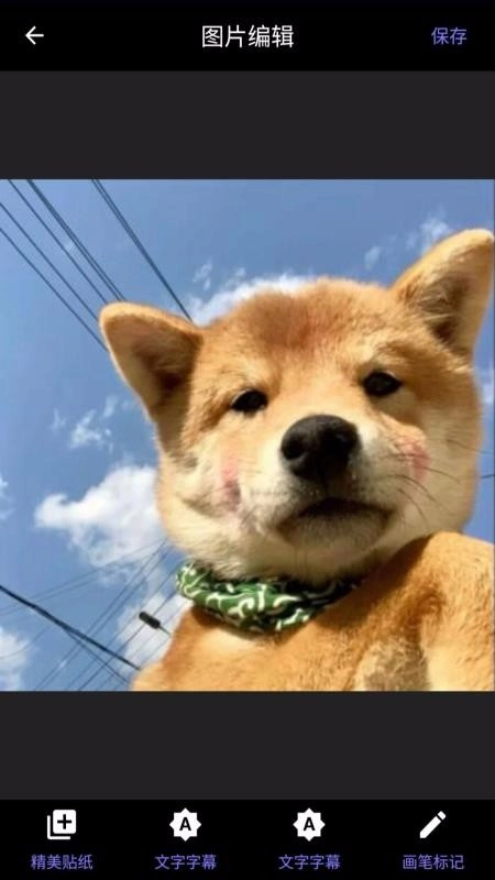 momo复古滤镜免费版图1