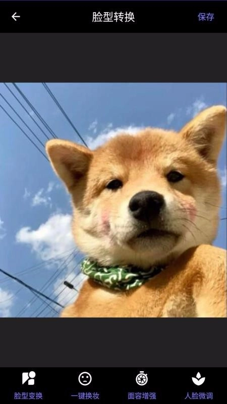 momo复古滤镜免费版图4