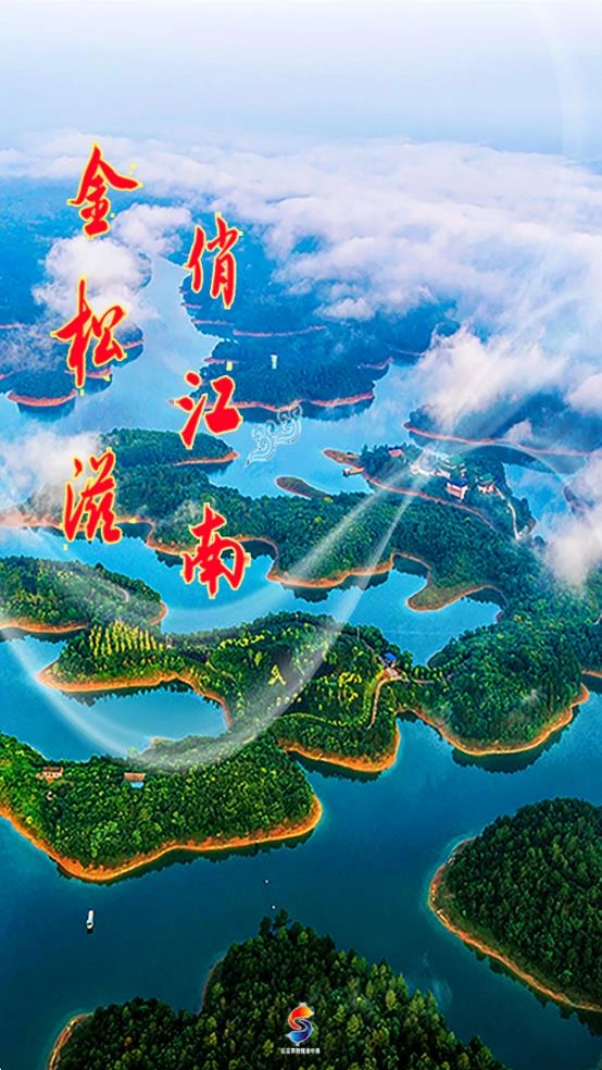 云上松滋安卓版图4