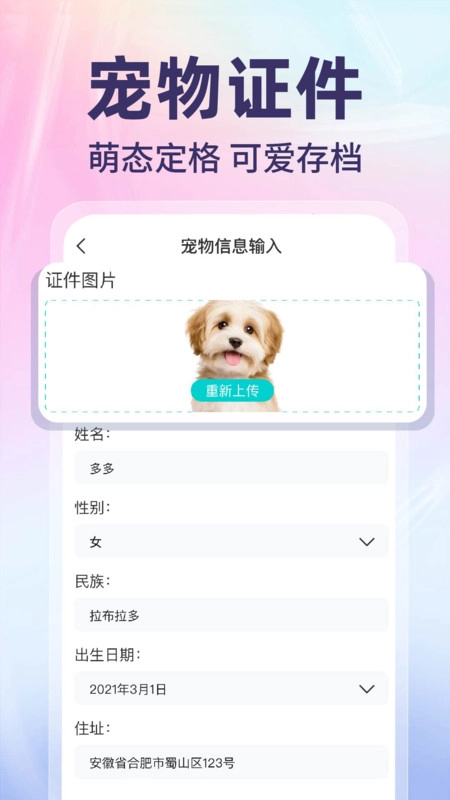 网络电子证件管家免费原版