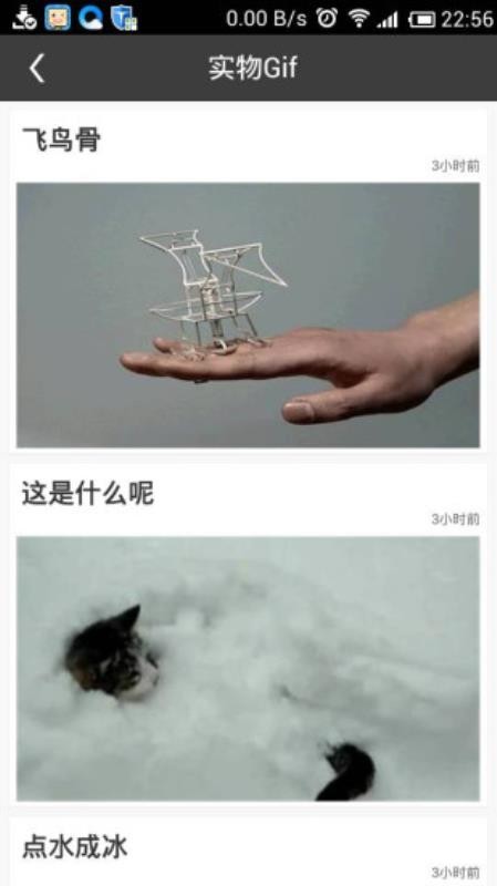 Gif动态一图官方正版图1