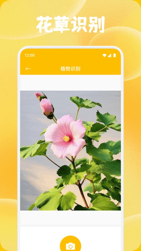 时小花养护手机正版图2