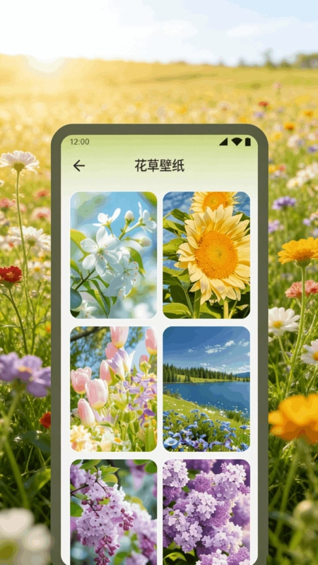 轻花有品鉴赏手机免费版