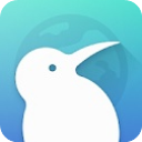 KiwiBrowser最新版