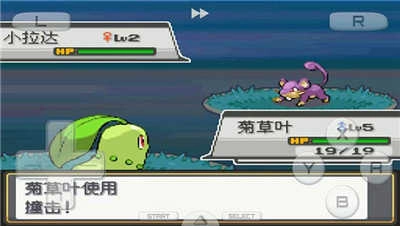 口袋妖怪心金汉化版(1)