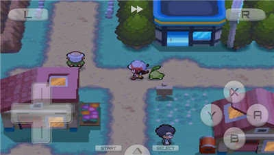 口袋妖怪心金汉化版(3)