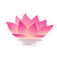 荷花工具箱手机正版