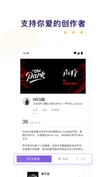 爱发电正版(3)