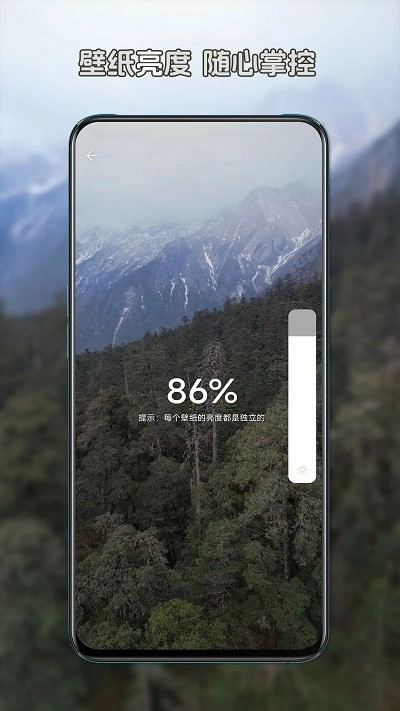 星咩视频壁纸软件正版
