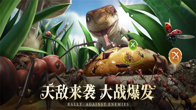 小小蚁国国际服版-图1