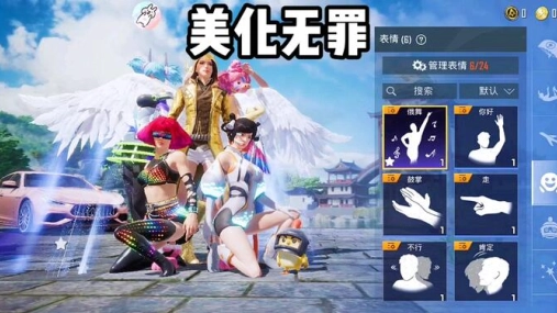 hcc美化包和平精英