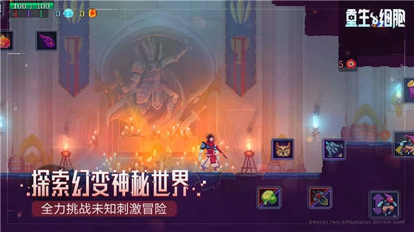 重生细胞无需登录通用版