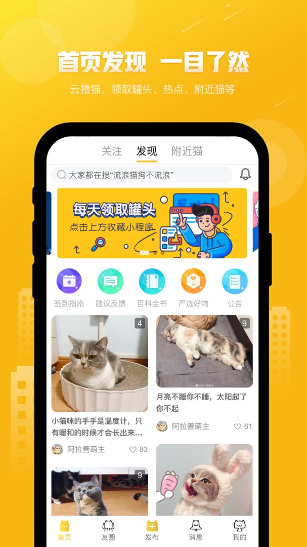 友猫最新版(2)