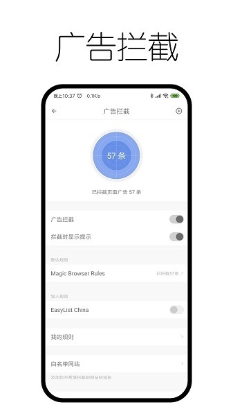 神奇浏览器官方正版图2