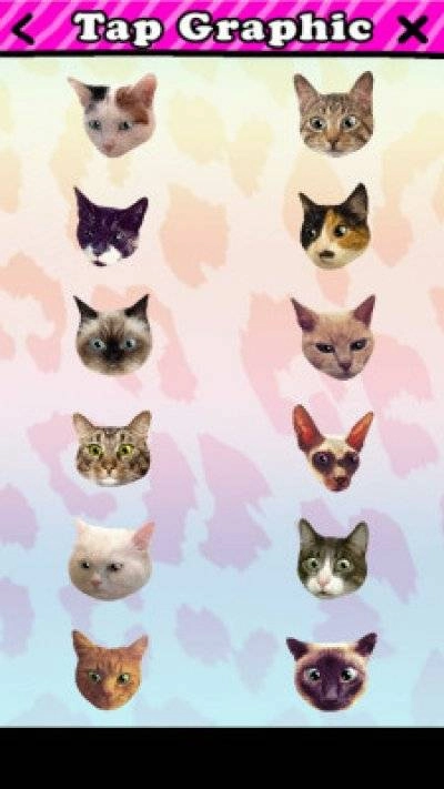 CatWang手机最新版图4