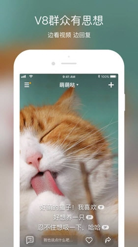 实拍原版图1