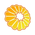 橙意健康免费原版