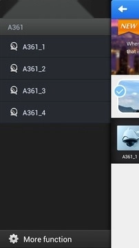 NVSIP 免费原版图3