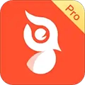 啄木鸟Pro官方版