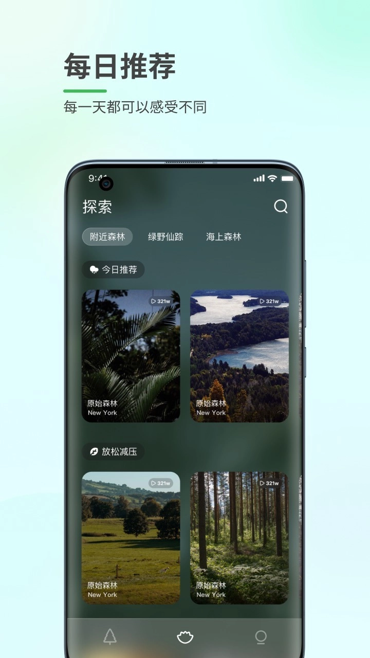 森林白噪音直装版图2
