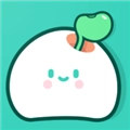 加豆原版