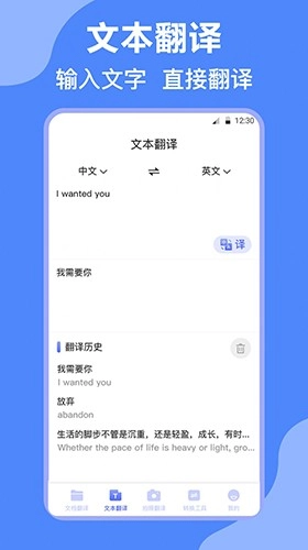 DeepL英译汉正版图1