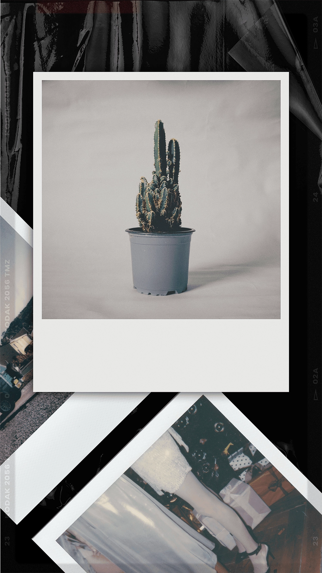 LastRoll复古胶片相机最新版图4