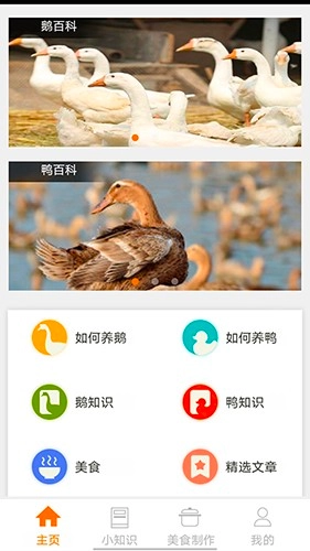 鹅鸭之家最新版图4