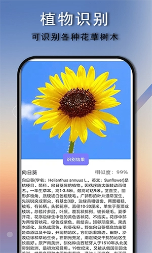 拍照识别原版图4
